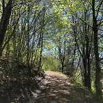 La D'ernestine