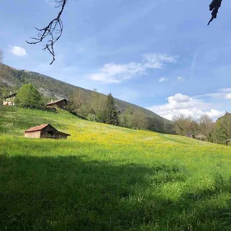 La D'ernestine *