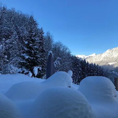 Chalet La D'ernestine *