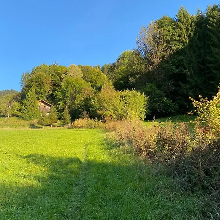 La D'ernestine Les Villards-sur-Thônes